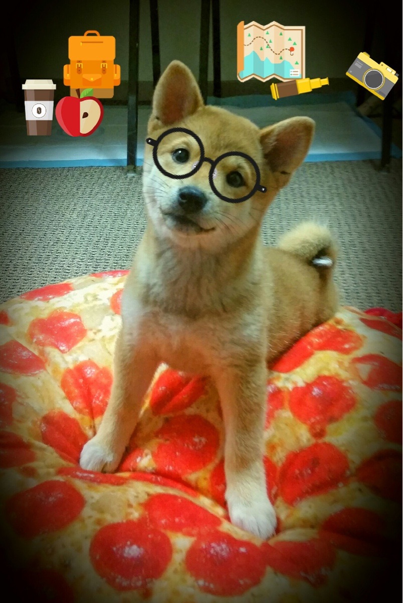 开云网页版登录入口-中小学体育教师专业能力提升路径探讨与实践,中小学体育教师应具备哪些核心素养 第4张 开云网页版登录入口-中小学体育教师专业能力提升路径探讨与实践,中小学体育教师应具备哪些核心素养 第4张