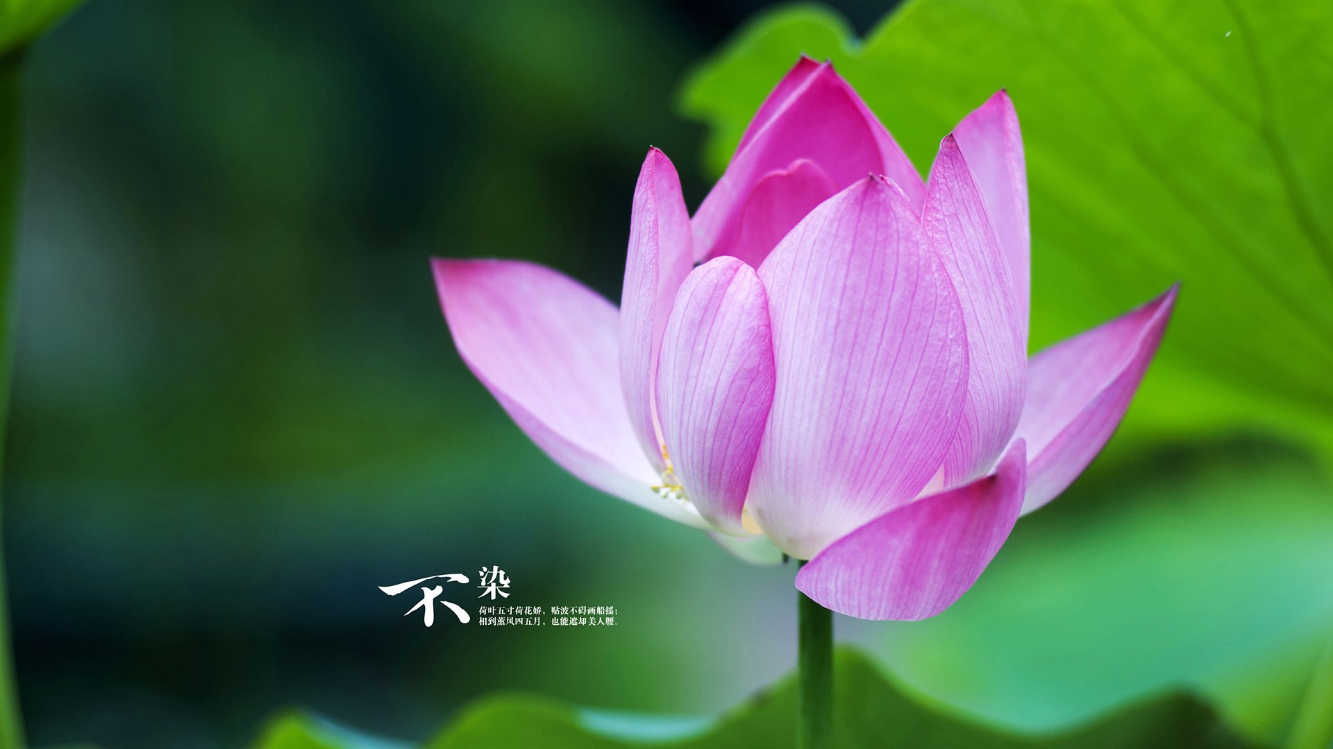 kaiyun官方网站-中小学体育教师创新教学策略,创新教学在小学体育教学中的重要性 第5张 kaiyun官方网站-中小学体育教师创新教学策略,创新教学在小学体育教学中的重要性 第5张