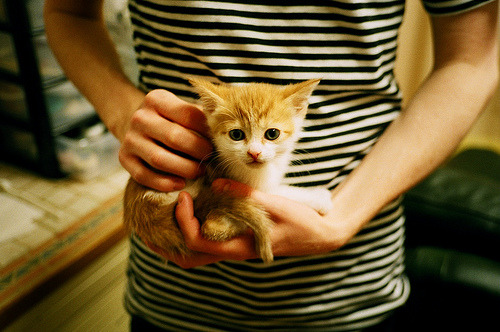 开云中国大陆-中小学体育教师教学技能提升策略，中小学体育教师综合素质提升策略