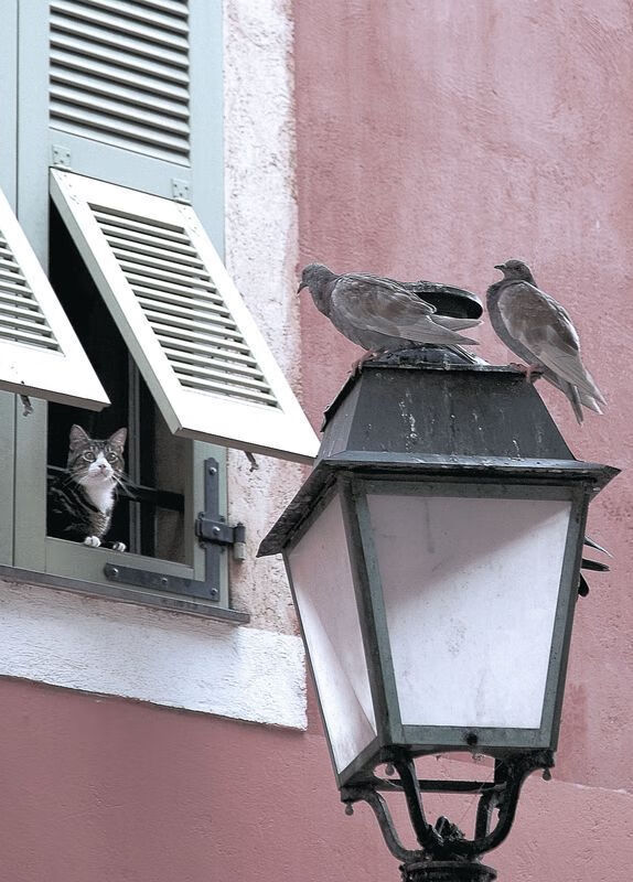 开云网页版登录入口-中小学体育教师教学方法创新探索,浅谈小学体育教学的创新 第4张 开云网页版登录入口-中小学体育教师教学方法创新探索,浅谈小学体育教学的创新 第4张