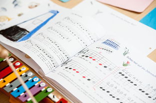 kaiyun网站-中小学体育教师继续教育体系建设与实施研究，小学体育继续教育考试试题及答案