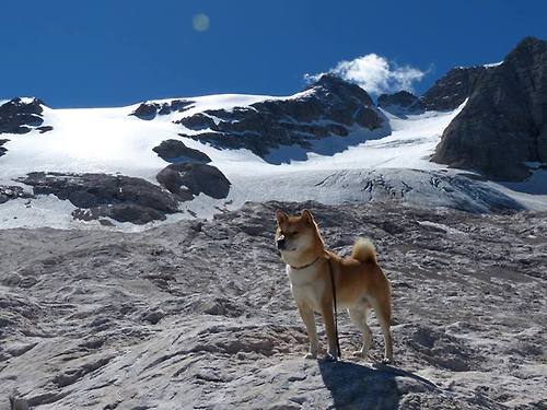 kaiyun登录入口-篮球运动员比赛策略动态调整技术，篮球比赛角色
