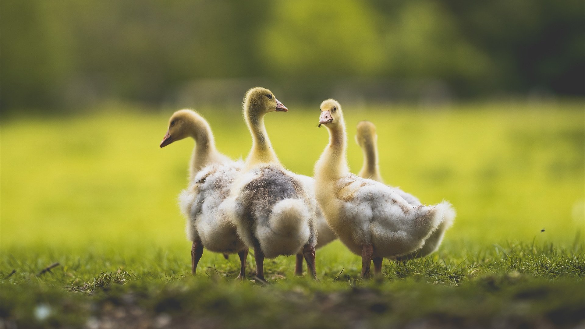 Kaiyun(中国)开云-运动干预对慢性病防控成效的跟踪评估报告，运动与慢病防治心得体会