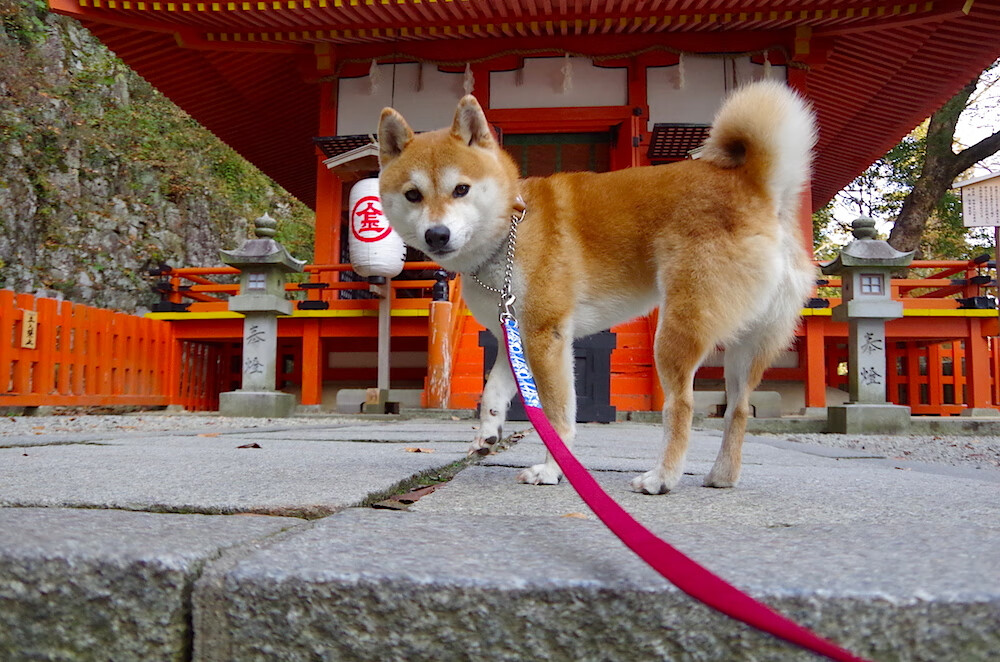 kaiyun开云·官方网站-青少年运动兴趣培养方案，青少年运动兴趣培养方案设计