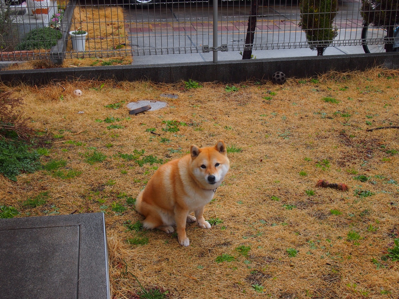 KAIYUNAPP-2025湖滨赛场：体育与自然的完美融合，2020湖滨跨年