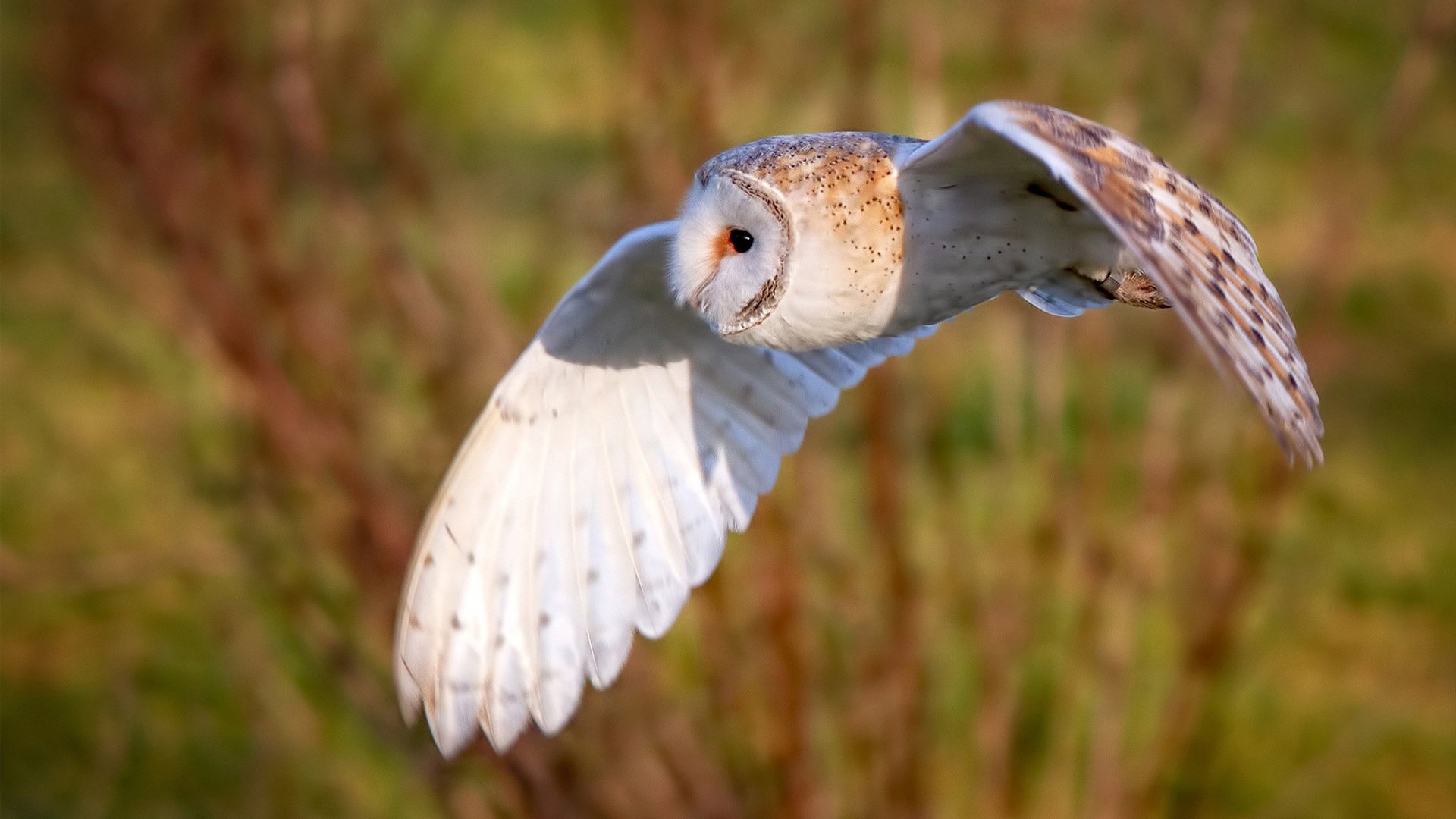 开云网页版登录入口-三秒内完成断球至射门成效显著，断球的时候可以碰到手吗
