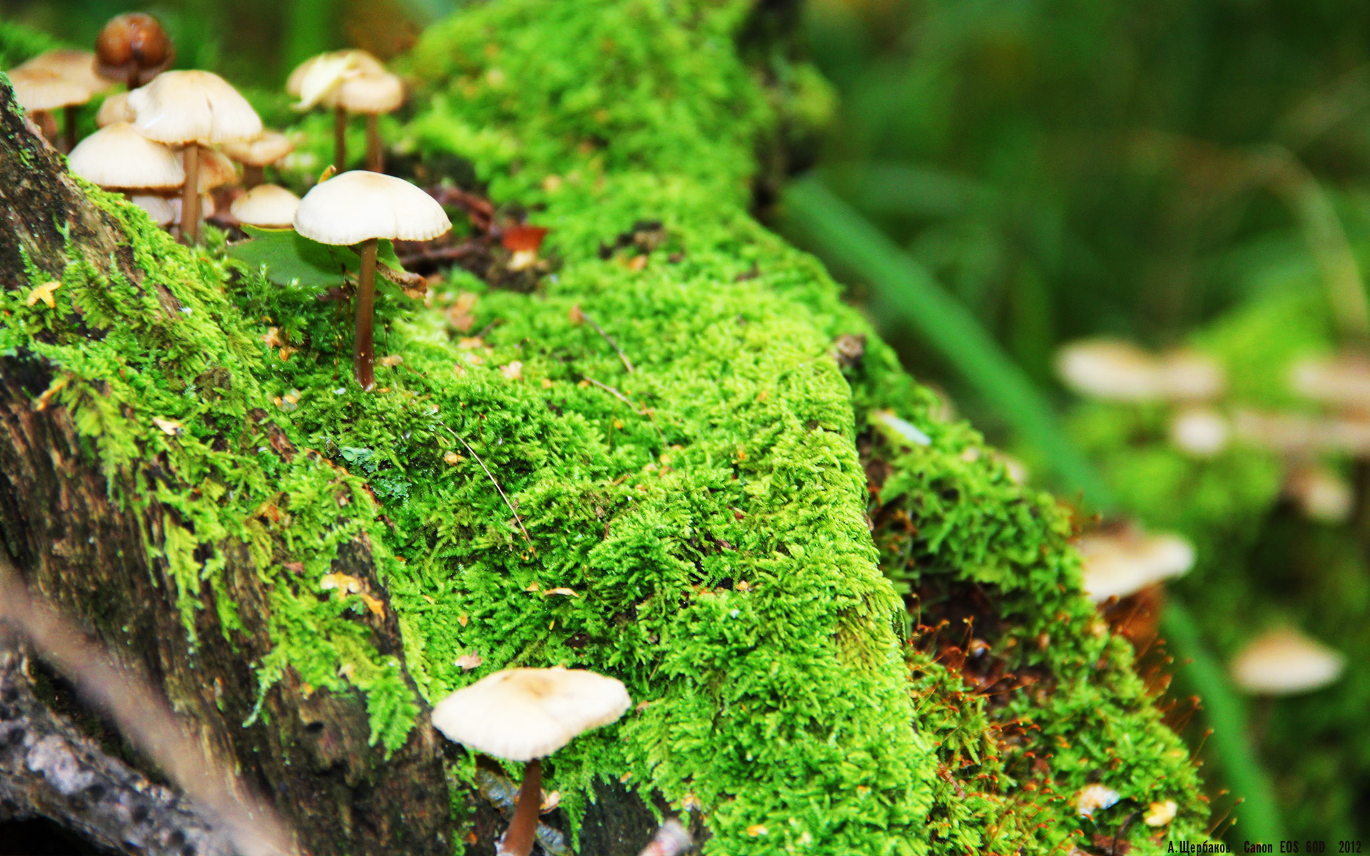 开云官方网页登录-中国三人篮球男队强化防守反击，中国3人篮球男队