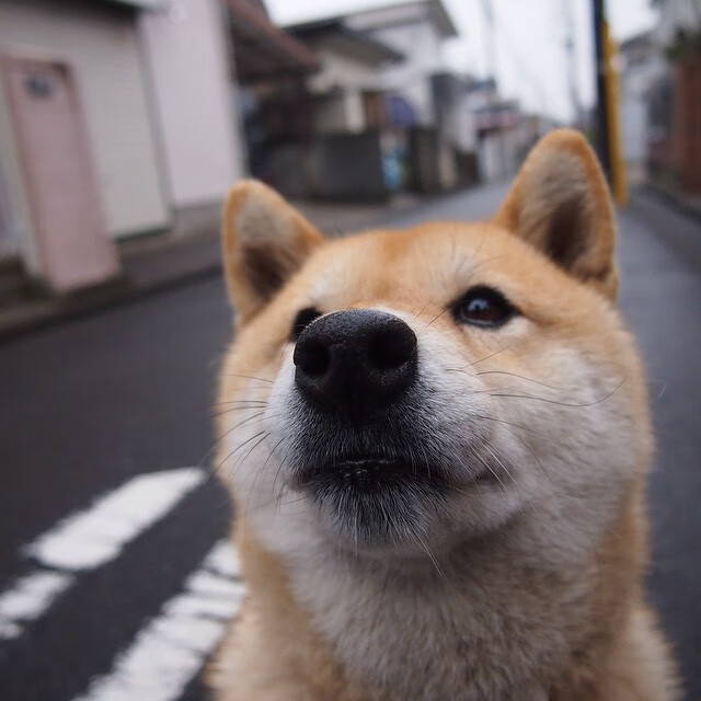kaiyun网站-国足在中超中战平 技术细节值得复盘，中超战果
