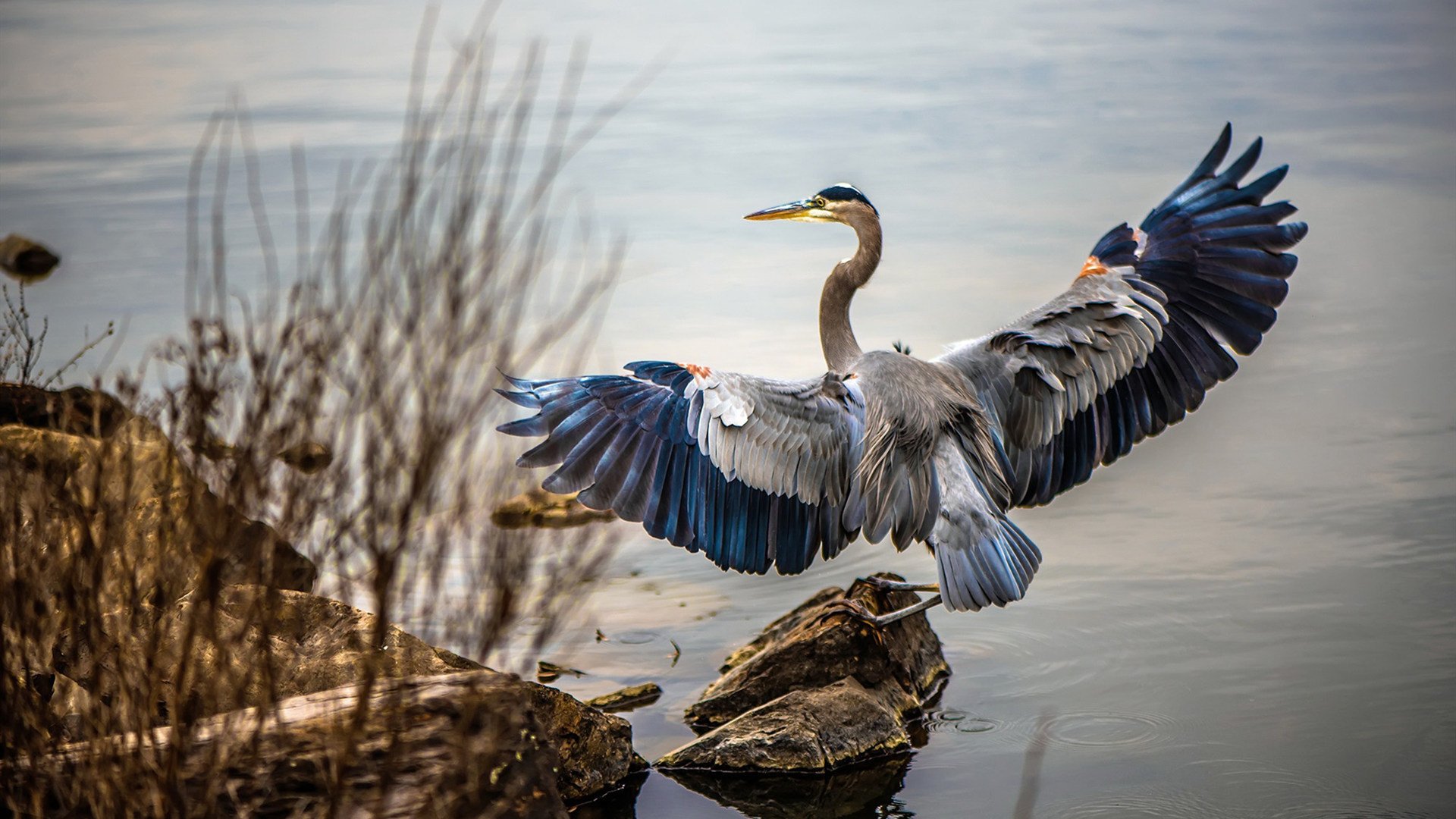 开云·体育官网APP下载-高节奏比赛是否更易出现攻防失衡现象，高节奏和快节奏
