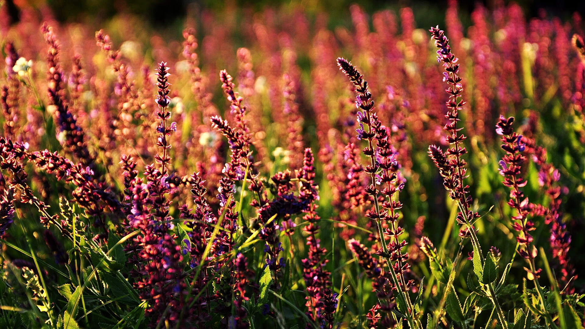 开云网页版登录入口-中国足球青训引入VR辅助技能训练技术，中国足球青训模式