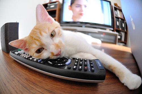 kaiyun开云·官方网站-中甲球队优化外援引进策略更重团队融合与战术适配，中甲联赛外援规则