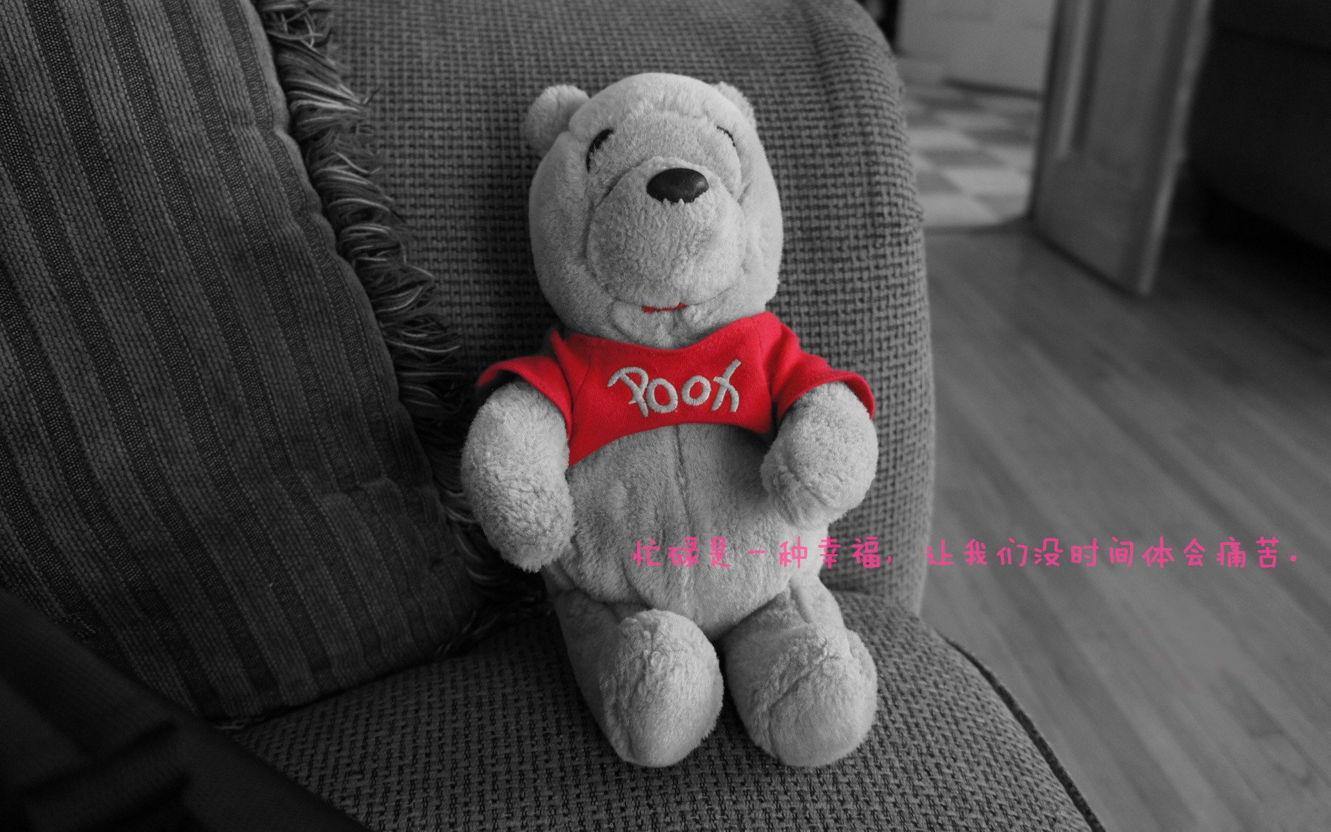 kaiyun.com-中超联赛数据分析师成为球队后勤核心岗位，中超数据网