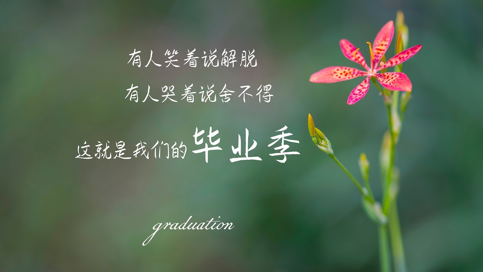 开云·体育官网-新签赞助商助力球队资金充裕运营环境全面改善,赞助球队能获得什么收益