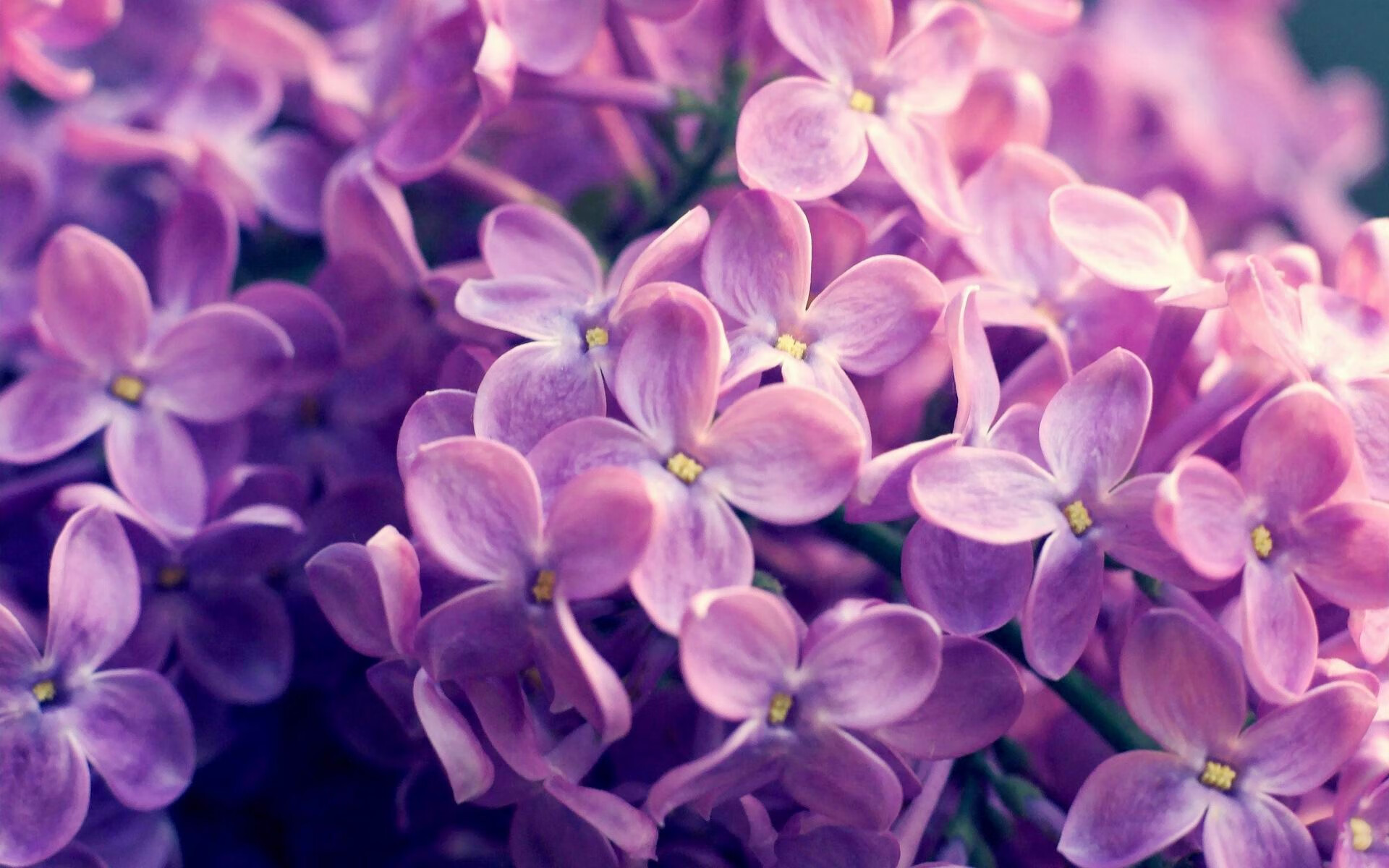 开云·体育官网-田径赛场新纪录不断刷新,田径赛场新纪录不断刷新什么意思