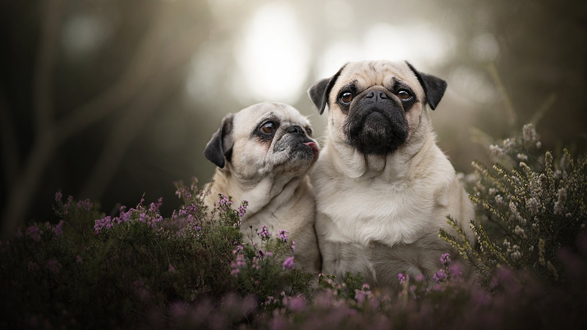 开云中国-男篮国家队实施小组目标计划增强阶段性成果转化,男篮国家队集训名单