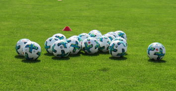 kaiyun中国官方网站-足球运动与健康管理结合,推广科学锻炼理念,足球运动的健康价值