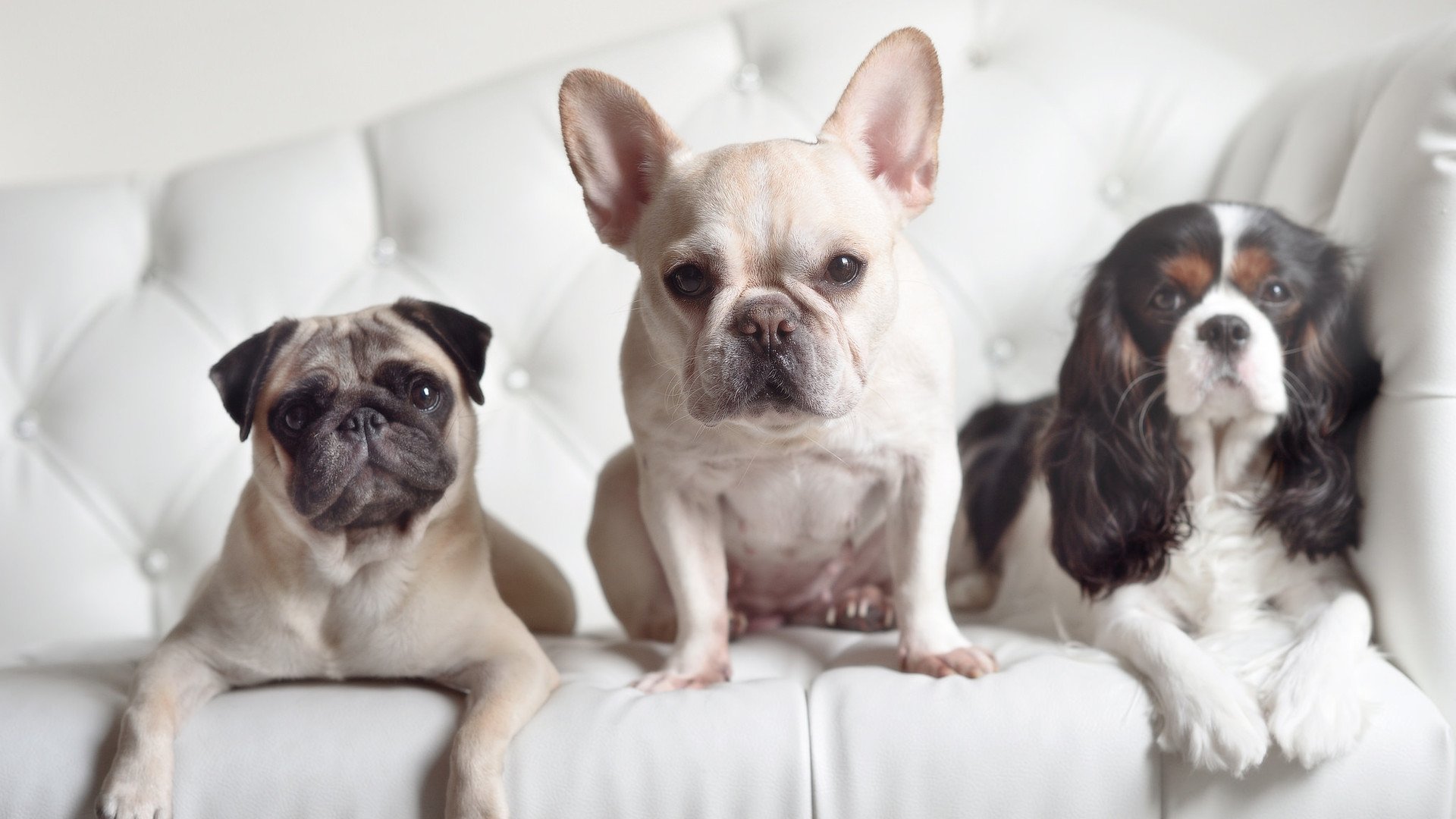 开云网页版登录入口-一项小事,蕴含大情怀,一项小事,蕴含大情怀的作文