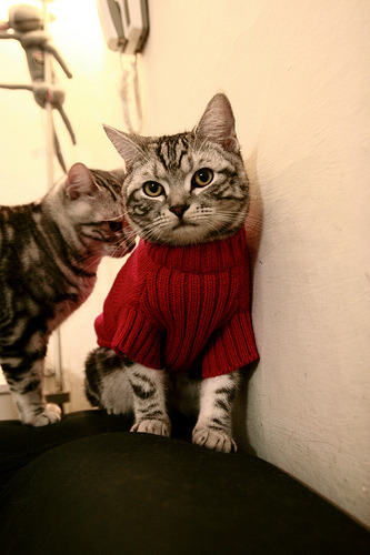 开云官方-中国篮球如何通过文化融合讲好球员故事,中国篮球应该如何发展