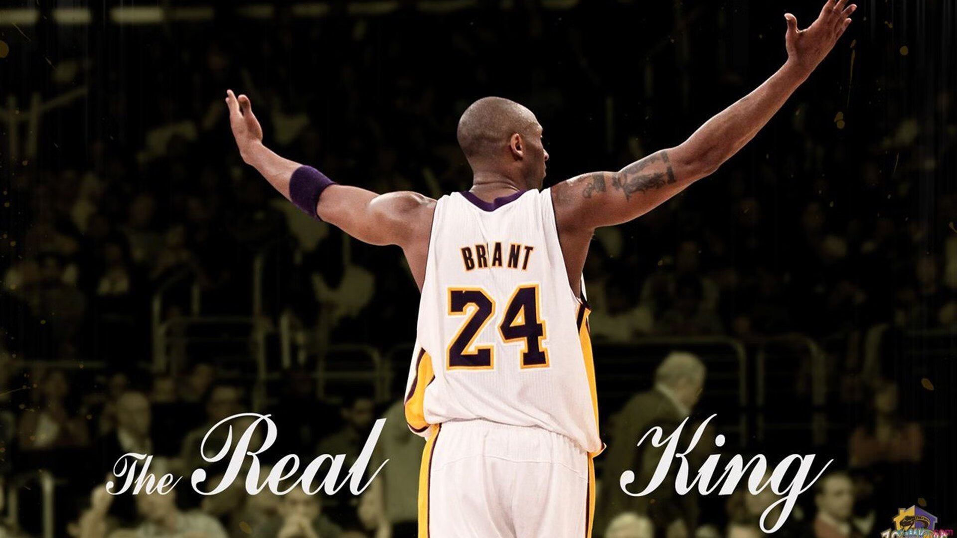 城市体育年卡上线 一卡通行多家游泳馆与健身房